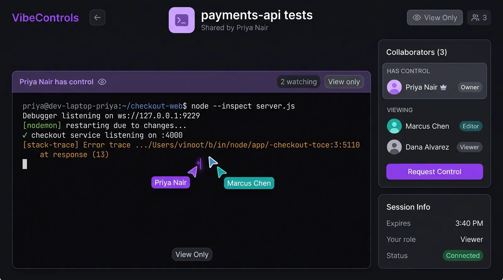 Concept illustration of a VibeControls shared terminal page with a control banner, live participant cursors, a collaborators list and session info