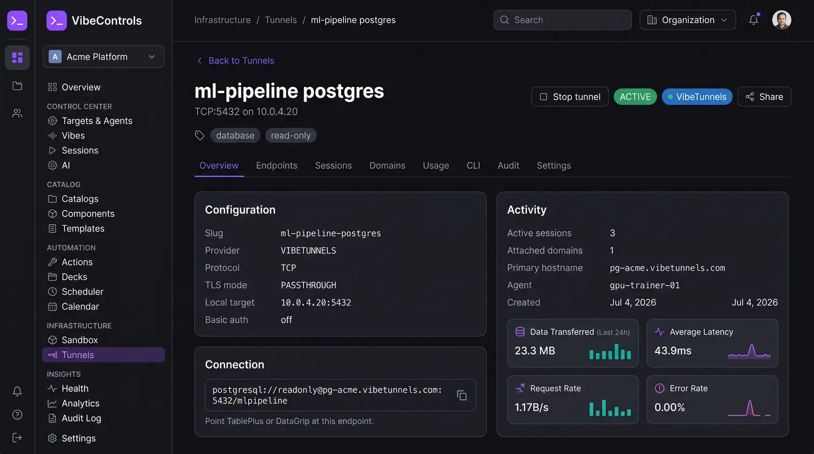 Concept illustration of the VibeControls tunnel detail page for a TCP database tunnel with configuration, connection string and activity metrics