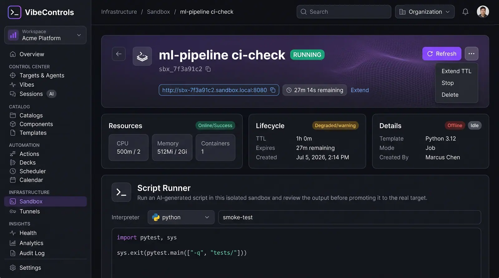 Concept illustration of a VibeControls sandbox page with a running status, TTL countdown, resource and lifecycle cards and a script runner